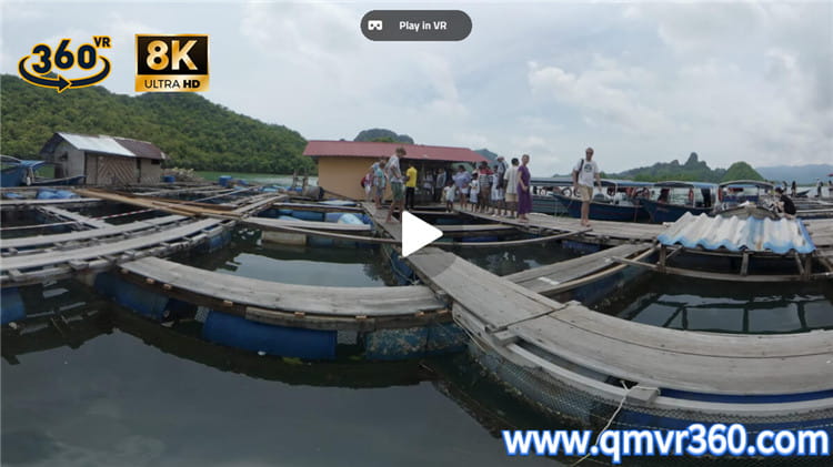 360°全景VR视频：马来西亚兰卡威海边鱼池鱼排VR 超清8K 0715-28