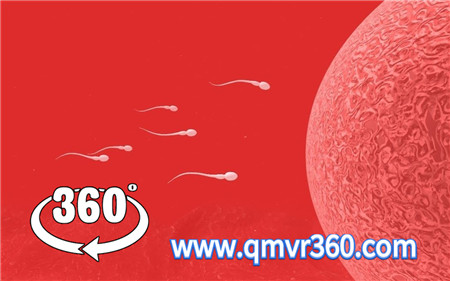 360°全景VR视频：一颗精子之旅_vr全景人体游戏，震撼视角，从一颗精子到胎儿的过程！ 1080P 1023-09