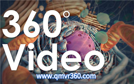 360°全景VR视频：人体细胞导览_微观细胞VR效果视频 超清 4K 1020-03