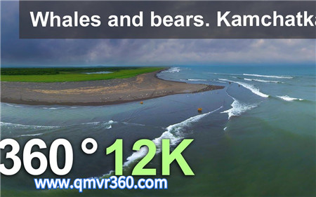 360°全景VR视频：鲸鱼和熊VR俄罗斯白令海东海岸堪察加半岛VR空中航拍岛屿VR_超清 4K 1026-15