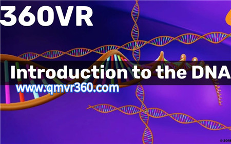 360°全景VR视频：人体DNA导论VR人类基因医学模型_超清 4K 1026-10