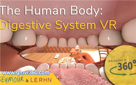 360°全景VR视频：食物在人体的消化过程VR人体肠道消化医学模拟效果动画_超清 4K 1027-26