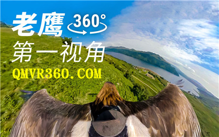 360°全景VR视频：老鹰第一视角飞翔俯视大地！360°感受飞跃草原的震撼！1019-04