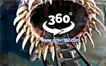 360°全景VR视频：海怪过山车VR海底穿梭怪物过山车恐怖惊悚尖叫_超清 4K 1029-11