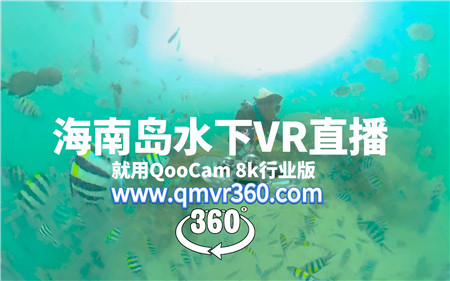 360°全景VR视频：感受深海的魅力360全景看潜水员在海底与鱼共舞VR海洋生物鱼 超清4K 1220-07