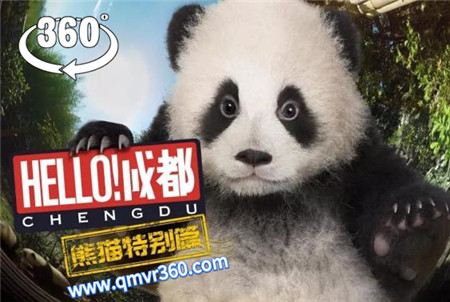 360°全景VR视频：成都动物园熊猫馆观看熊猫宝宝 普通1080P 0314-23