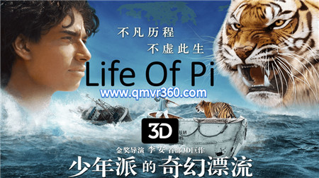 3D电影《少年派的奇幻漂流》 3D 左右格式VR电影1080P