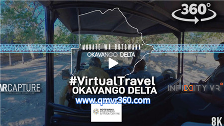 360°全景VR视频：探访非洲大草原动物VR奥卡万戈三角洲野生动物VR奥卡万戈沼泽观光景观 超清4K 0416-08