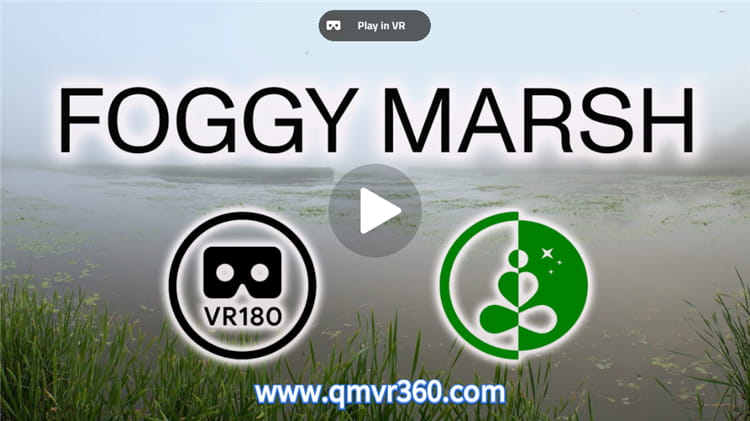 180°全景VR视频：FOGGYMARSH放松VR180自然体验 0609-08