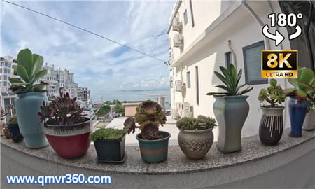 180°全景VR视频：东壁别墅的多肉植物 超清8K 0904-07